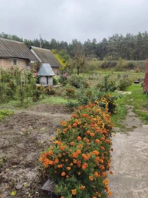 Пропонуємо до продажу будинок у Фастові.