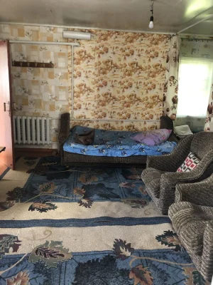Продається будинок(зата)