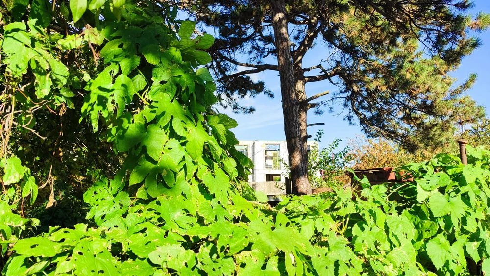 Продам таунхаус на Таировый городок