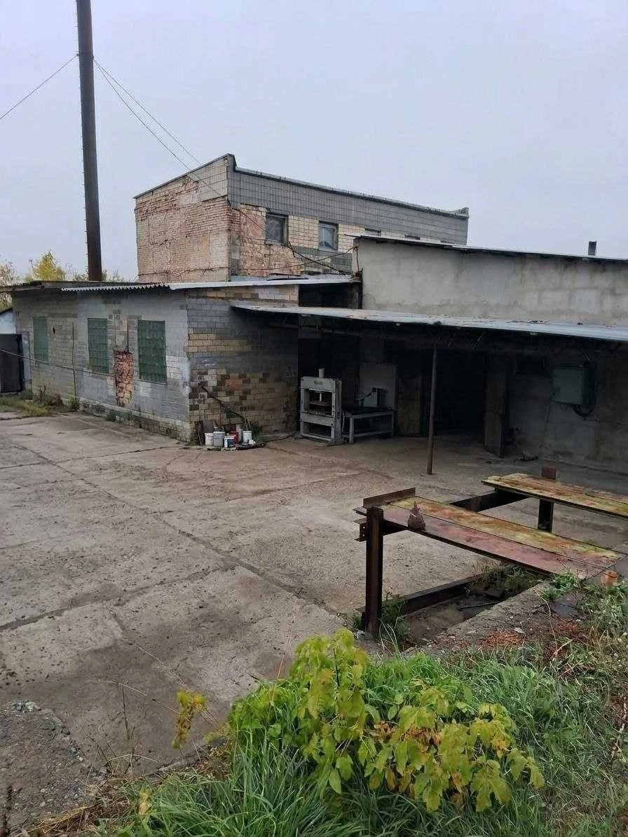 Васильков продам участок  1 га земли с производством