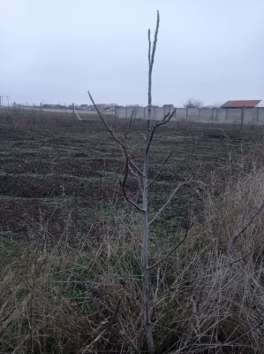 Продаю участок для застройки