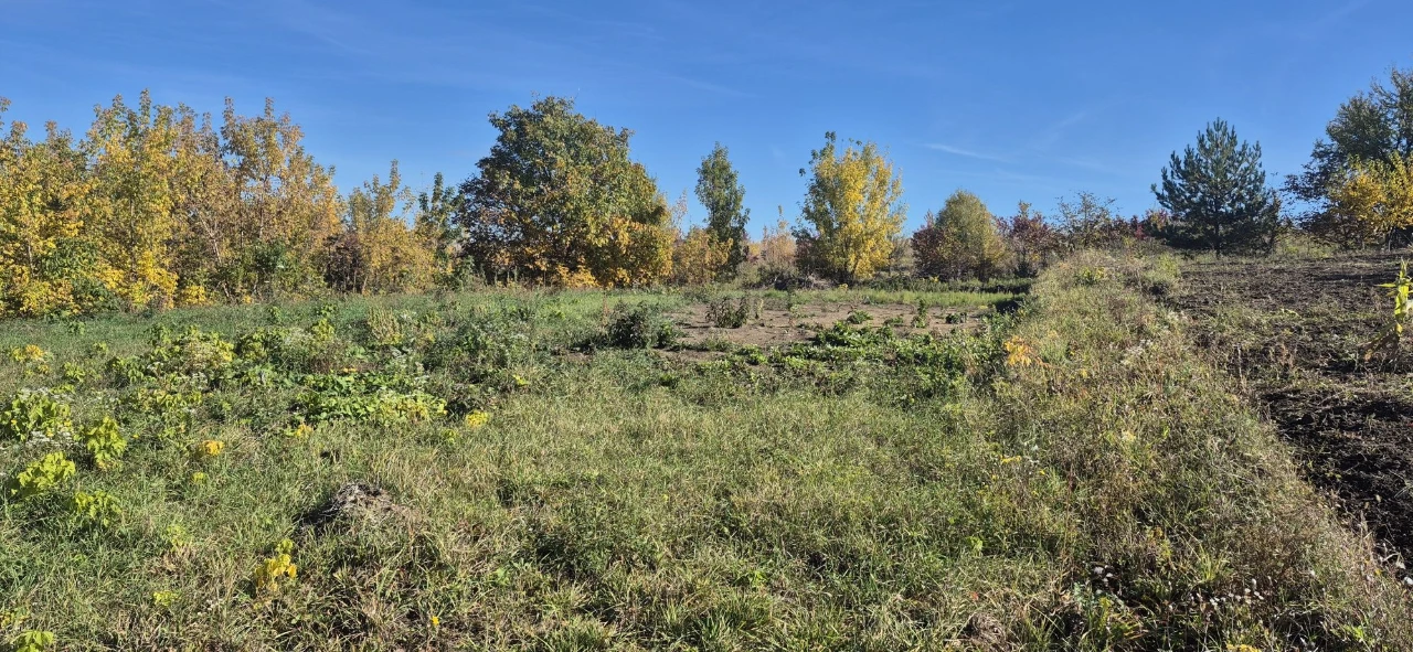 Земельна ділянка