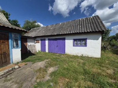 Продам будинок в селі. Рижани Хорошівський рн