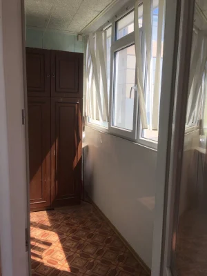 Продам 1-комнатную квартиру на 5 Заречном , от владельца