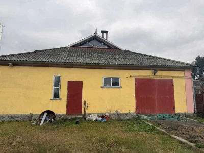 Продаж просторого будинку з ремонтом, автономією та гаражем