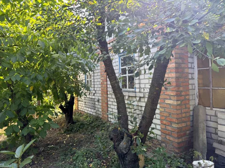 Ділянка. Кременчук