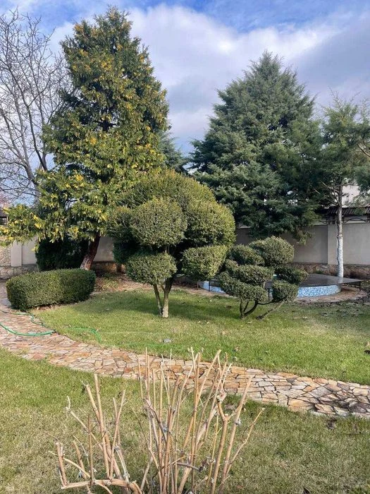Homestead on 18 acres! 12th century B. Fontana! 1A37