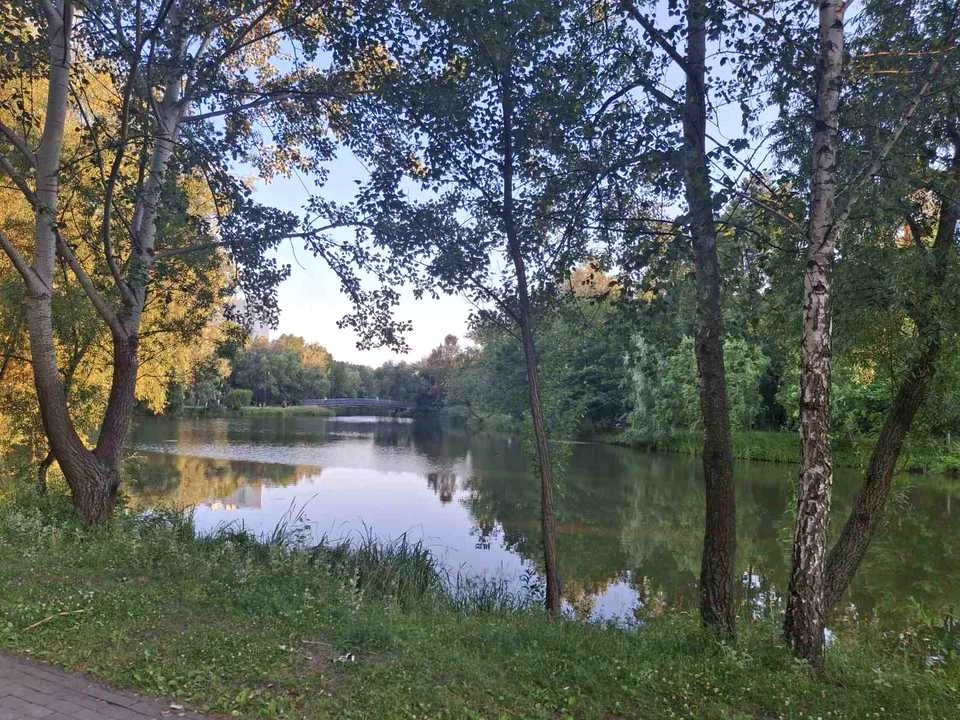 Квартира. Київ, Князя Романа Мстиславича вул.