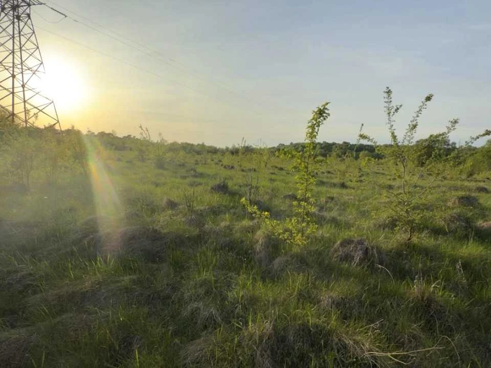 Ділянка. Івано-Франківськ