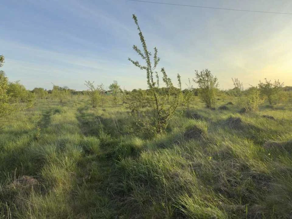 Ділянка. Івано-Франківськ