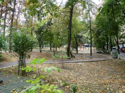 Квартира. Київ, Лесі Українки бульв.