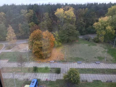 Квартира. Київ, Георгія Гонгадзе просп.