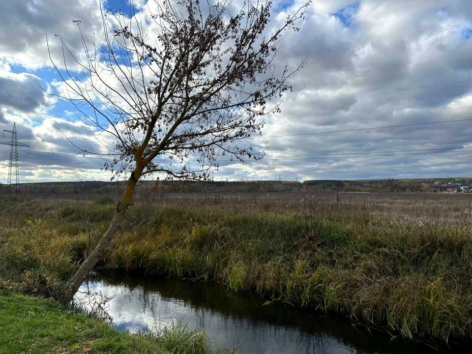 Ділянка. Ірпінь