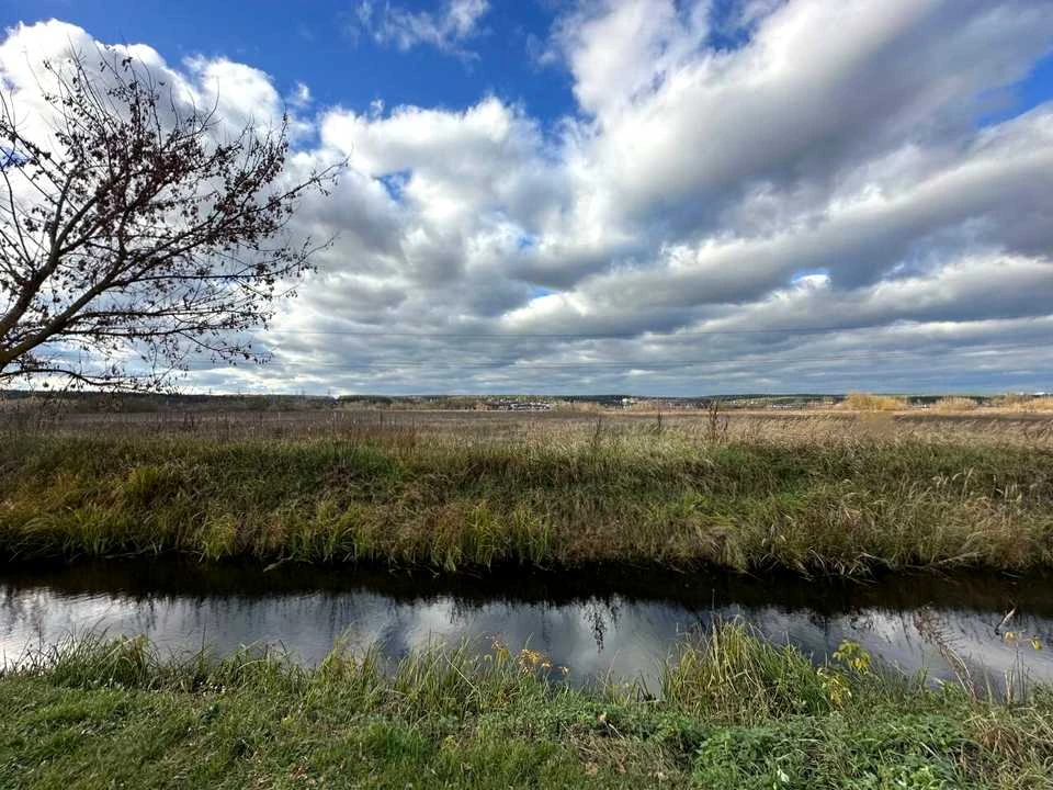 Ділянка. Ірпінь
