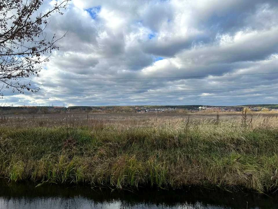 Ділянка. Ірпінь