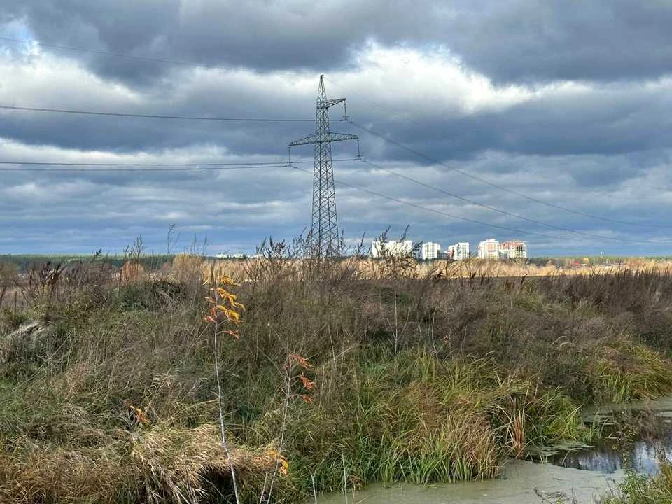 Ділянка. Ірпінь
