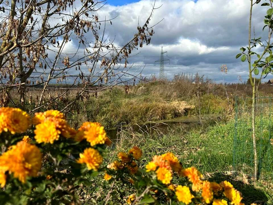 Ділянка. Ірпінь