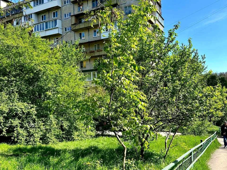 Квартира. Київ, Кавказька вул.