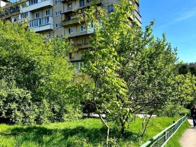 Квартира. Київ, Кавказька вул.