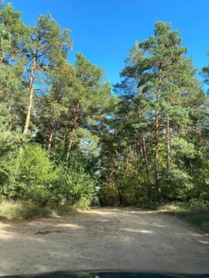 Продам приватизовану ділянку мрії  біля соснового лісу в м.Г