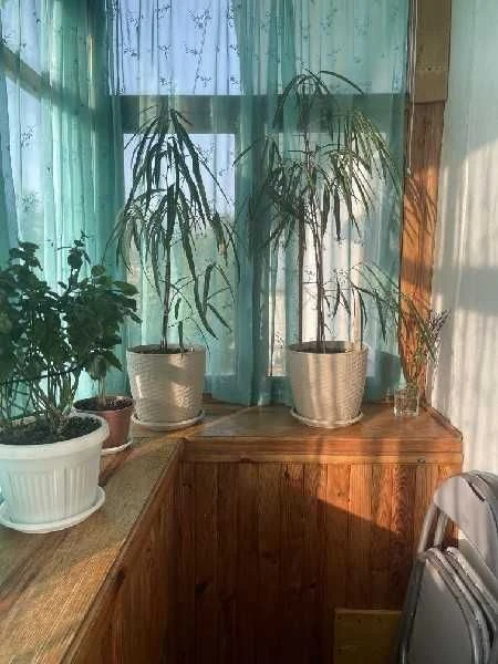 Продам 3х ком.кв-ру,  бул.Бельфорский (р-н Правобережного ры