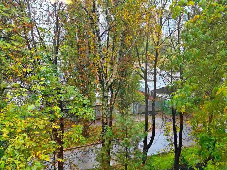 Квартира. Київ, Івана Виговського вул.