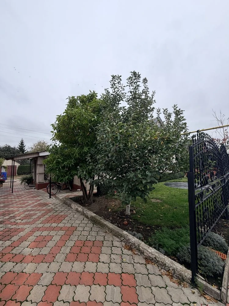 Продам власний будинок з меблями та технікою