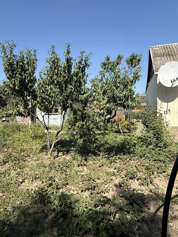 Продам дом 62кв.м в Люботине