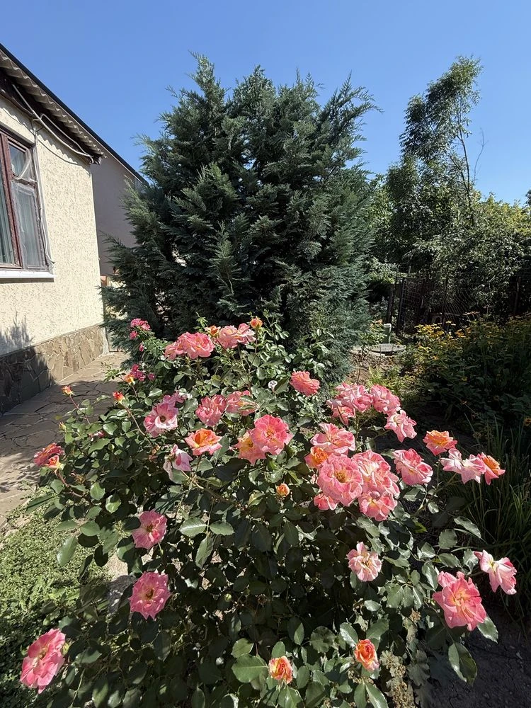 Продам дом 62кв.м в Люботине