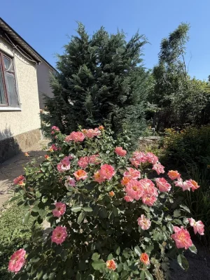 Продам дом 62кв.м в Люботине