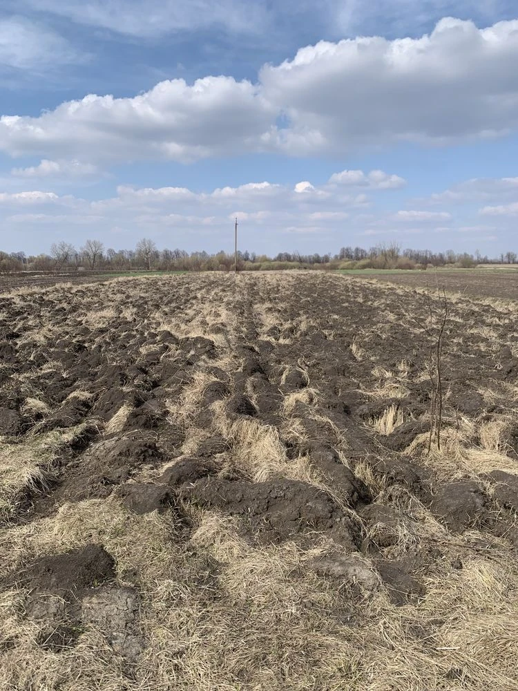 Продам земельну ділянку 25 соток