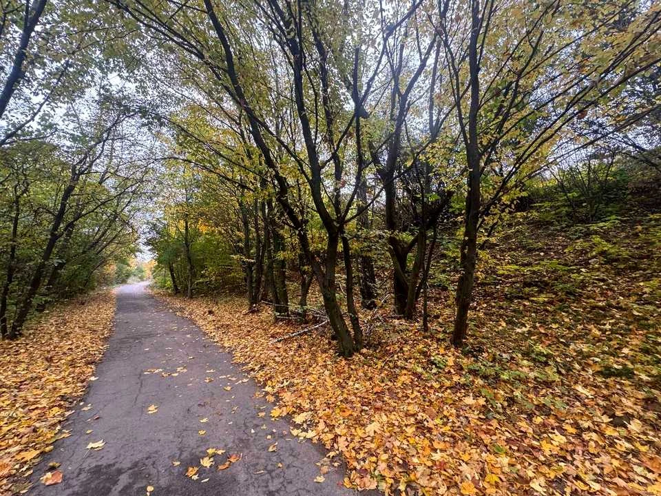 Ділянка. Тернопіль, Березовиця / Будного С.