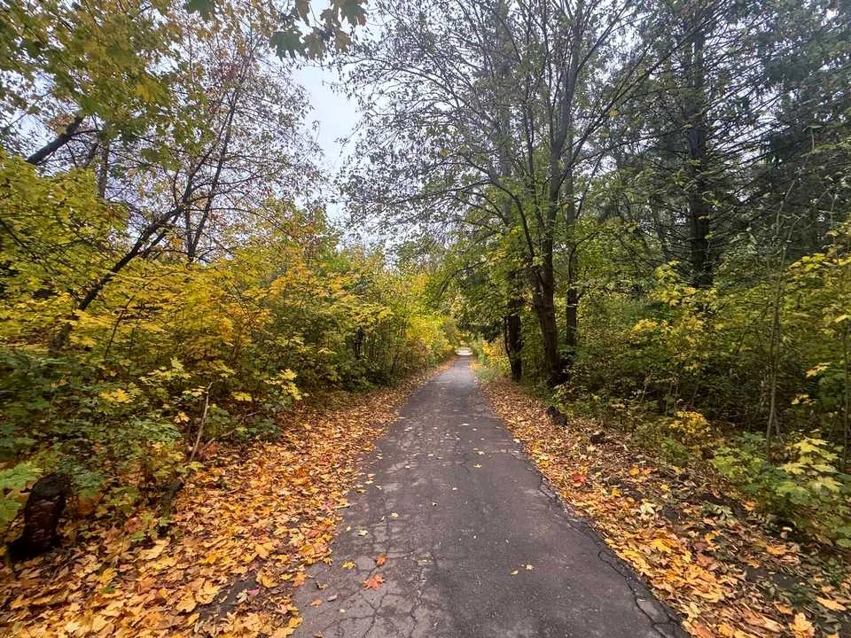 Ділянка. Тернопіль, Березовиця / Будного С.