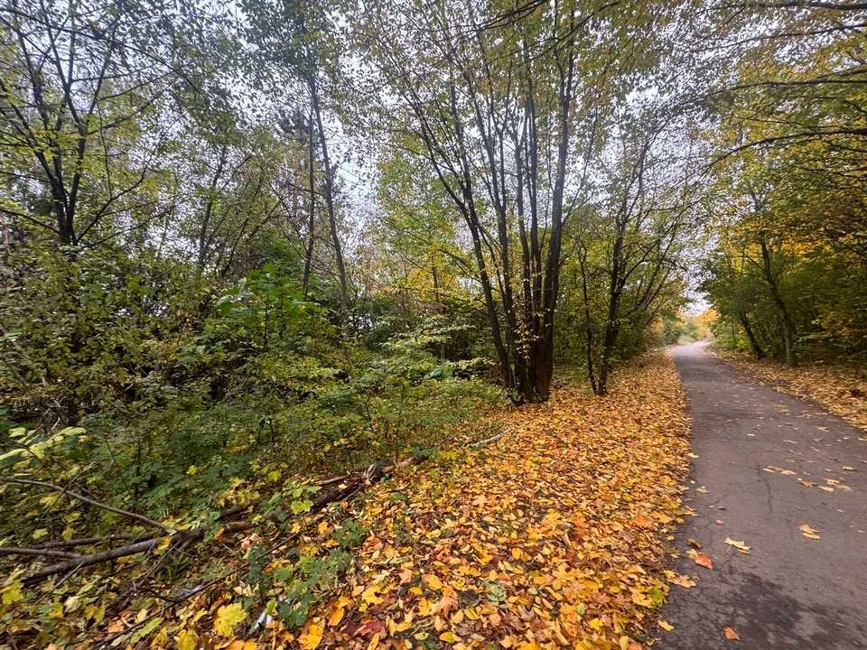 Ділянка. Тернопіль, Березовиця / Будного С.