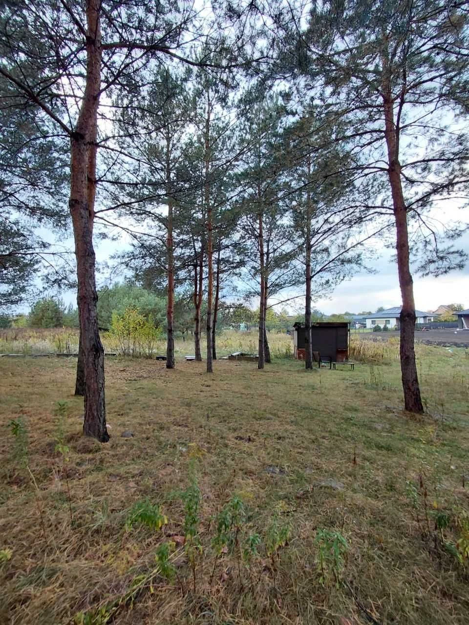 Земельна ділянка неподалік Луцька та лісу – із вже заведеним