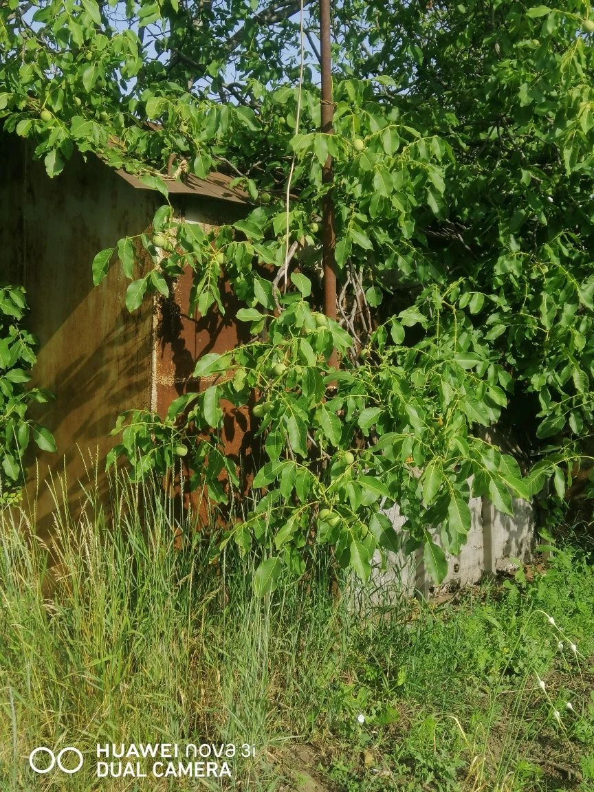 Продадим дачу на старом пароме не доезжая Марьяновки