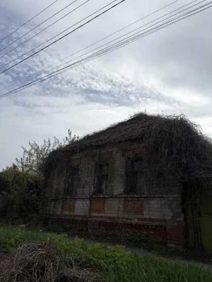 Land for sale: 3 acres on Vishnevoy/Zernov street