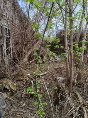 Land for sale: 3 acres on Vishnevoy/Zernov street