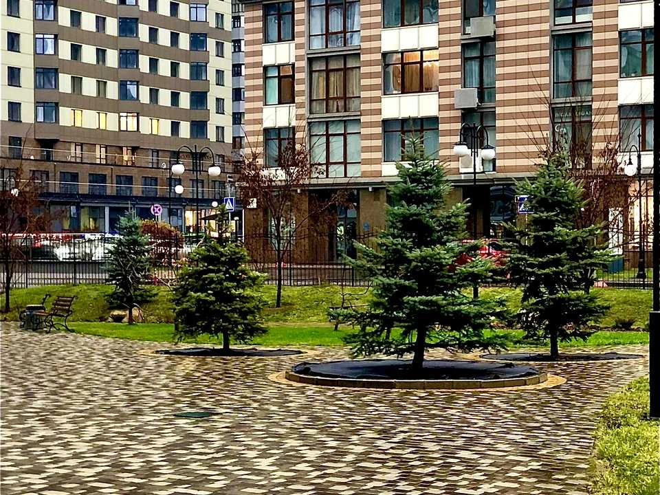 Квартира. Київ, вул. Кахи Бендукідзе