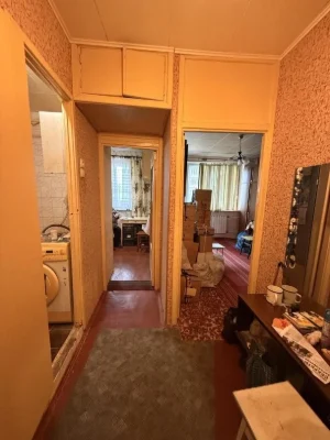 For Sale: 1-bedroom apartment on Salkovka.