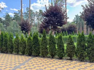 Price Change! Urgent: 1-room apartment for sale for $4000.