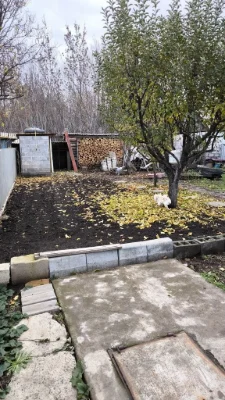 Продаж, Синельцовое