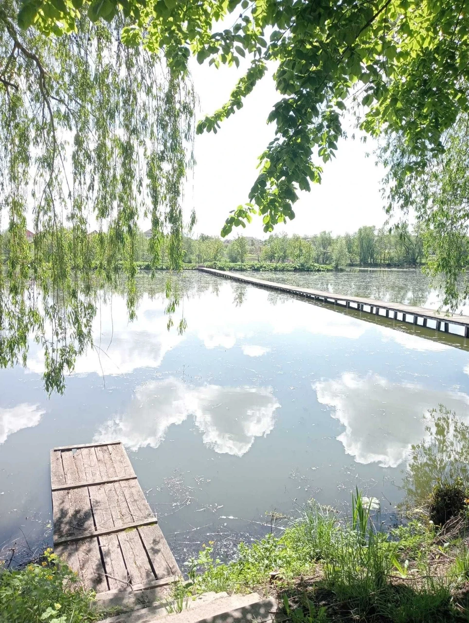 For Sale: Land Plot for Development in the City of Tetiyev (Kyiv Region)