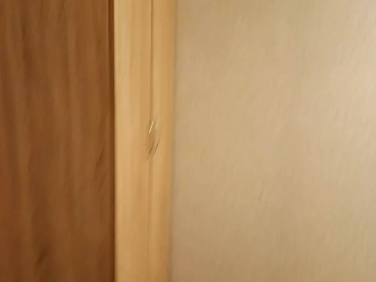 Оренда квартири 2-кімнат. 47 м² 1/5 поверху