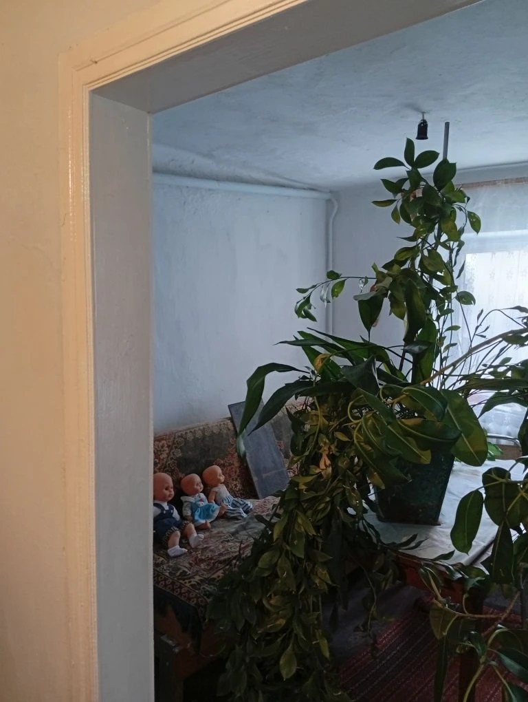 House for sale in Solyanyy