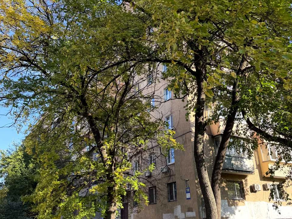 Apartment. Kyiv, Krakow Street