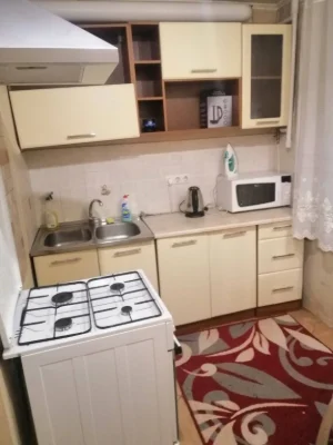Rent 1-bedroom apartment on Darnychyna Square. (Chuprynsky Street)
