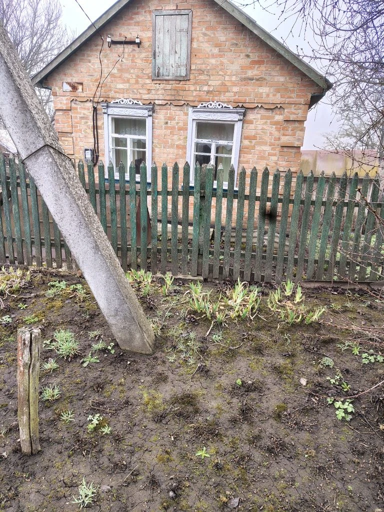 Продається будинок, в селі Мошорино, 12 км від Знам'янки.