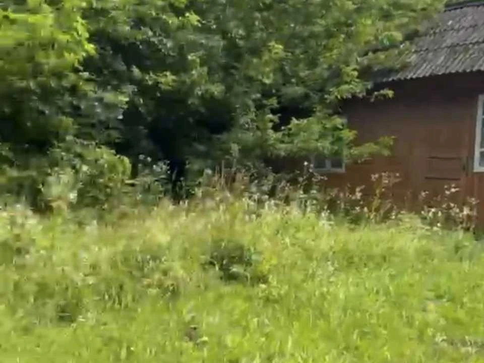 Будинок. Київ, Михайла Чалого вул.