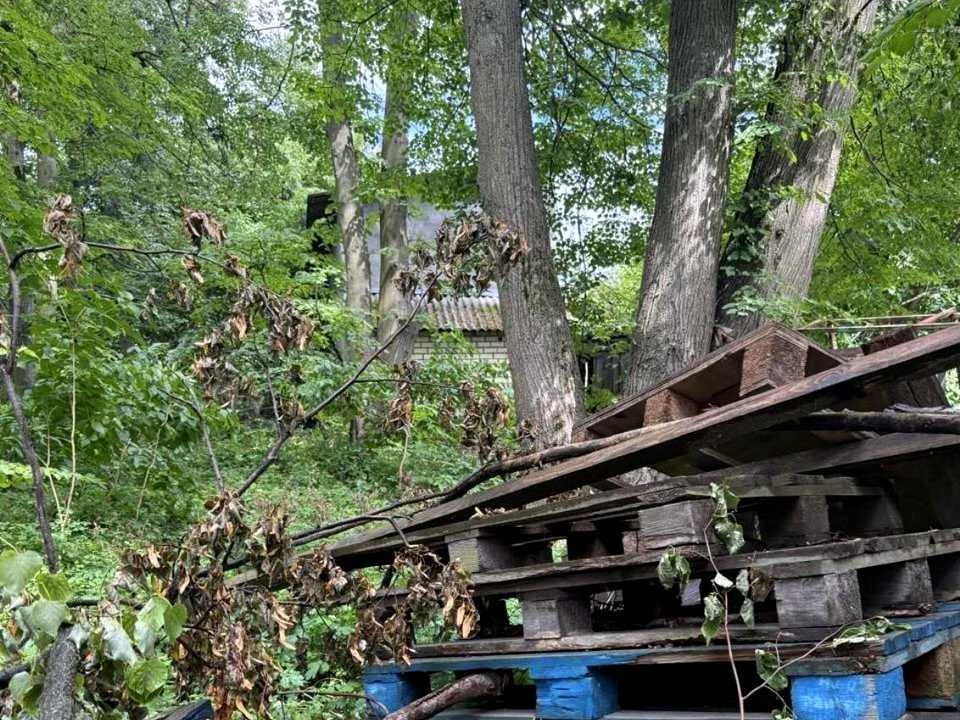 Будинок. Київ, Михайла Чалого вул.